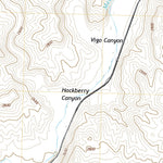 United States Geological Survey Vigo, NV (2021, 24000-Scale) digital map