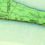 United States Geological Survey Villa Tasso, FL (1938, 62500-Scale) digital map