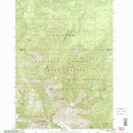 United States Geological Survey Vinegar Hill, ID (2004, 24000-Scale) digital map