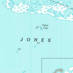 United States Geological Survey Virginia Point, TX (1994, 24000-Scale) digital map