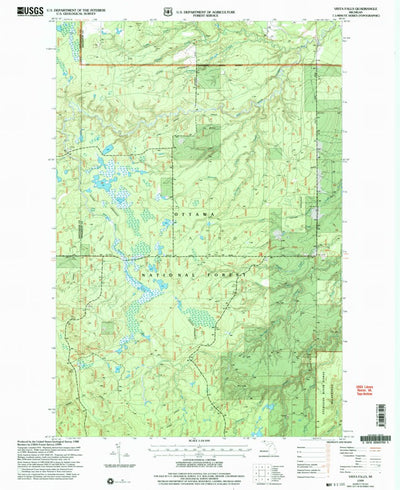 United States Geological Survey Vista Falls, MI (1999, 24000-Scale) digital map
