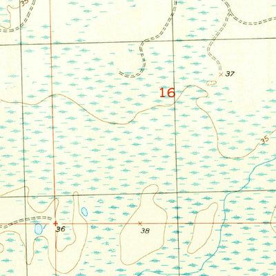United States Geological Survey Wacissa, FL (1955, 24000-Scale) digital map