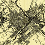 United States Geological Survey Waco, TX (1920, 125000-Scale) digital map