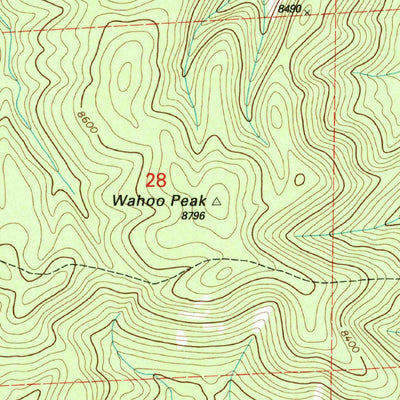 United States Geological Survey Wahoo Peak, NM (1999, 24000-Scale) digital map