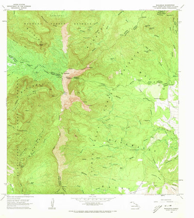 United States Geological Survey Waialeale, HI (1965, 24000-Scale) digital map