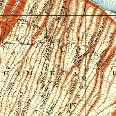United States Geological Survey Waipio, HI (1916, 62500-Scale) digital map