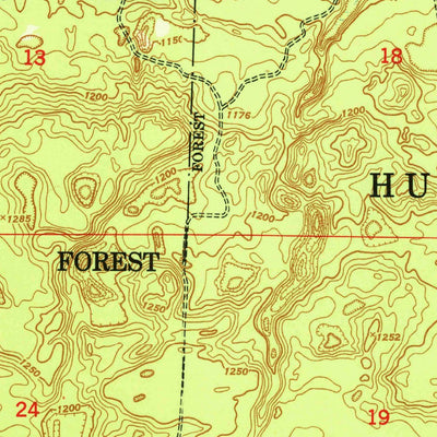United States Geological Survey Wakeley Lake, MI (1951, 24000-Scale) digital map