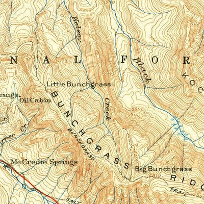 United States Geological Survey Waldo Lake, OR (1925, 125000-Scale) digital map