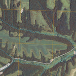 United States Geological Survey Waldwick, WI (2010, 24000-Scale) digital map