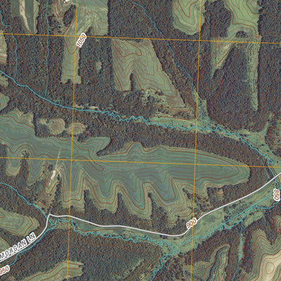 United States Geological Survey Waldwick, WI (2010, 24000-Scale) digital map