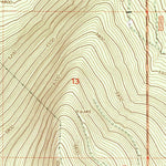 United States Geological Survey Walker Mountain, OR (1999, 24000-Scale) digital map