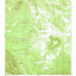 United States Geological Survey Wallace Mesa, NM (1981, 24000-Scale) digital map