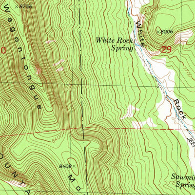 United States Geological Survey Wallace Mesa, NM (1981, 24000-Scale) digital map