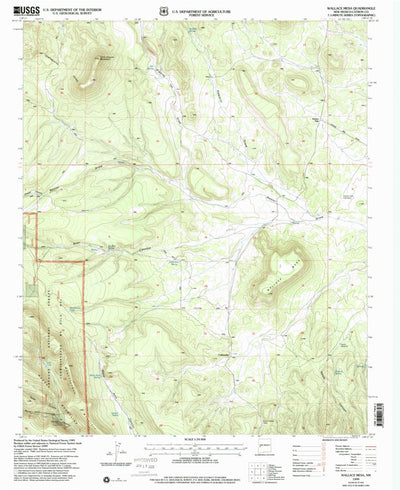 United States Geological Survey Wallace Mesa, NM (1999, 24000-Scale) digital map