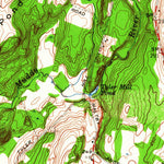 United States Geological Survey Wallingford, CT (1954, 24000-Scale) digital map