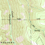 United States Geological Survey Wallowa, OR (1964, 24000-Scale) digital map