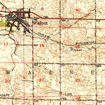 United States Geological Survey Walnut, IL (1949, 62500-Scale) digital map