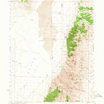 United States Geological Survey Walti Hot Springs, NV (1956, 62500-Scale) digital map