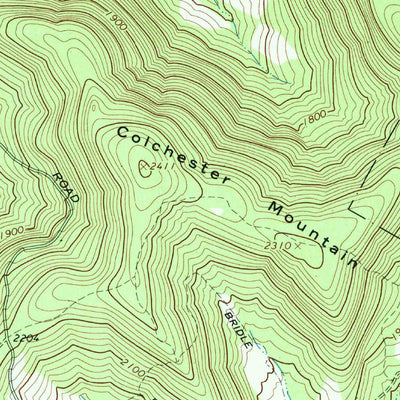 United States Geological Survey Walton East, NY (1965, 24000-Scale) digital map