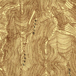 United States Geological Survey Walton, NY (1923, 48000-Scale) digital map