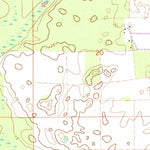 United States Geological Survey Wannee, FL (1968, 24000-Scale) digital map