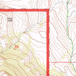 United States Geological Survey Wapiti, WY (1991, 24000-Scale) digital map