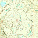 United States Geological Survey Ward, FL (1968, 24000-Scale) digital map