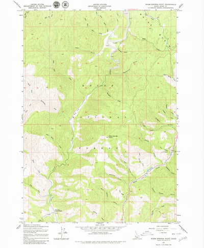 United States Geological Survey Warm Springs Point, ID (1957, 24000-Scale) digital map