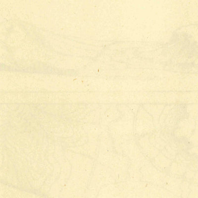United States Geological Survey Warm Springs, VA-WV (1926, 62500-Scale) digital map