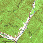 United States Geological Survey Warm Springs, VA-WV (1946, 62500-Scale) digital map