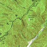 United States Geological Survey Warm Springs, VA-WV (1946, 62500-Scale) digital map