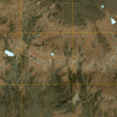 United States Geological Survey Warrior Hollow, TX (2010, 24000-Scale) digital map