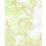 United States Geological Survey Washington Mountain, CA (1990, 24000-Scale) digital map