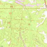 United States Geological Survey Washington, MS (1963, 24000-Scale) digital map