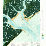 United States Geological Survey Wassaw Sound, GA (1978, 24000-Scale) digital map