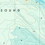 United States Geological Survey Wassaw Sound, GA (1978, 24000-Scale) digital map