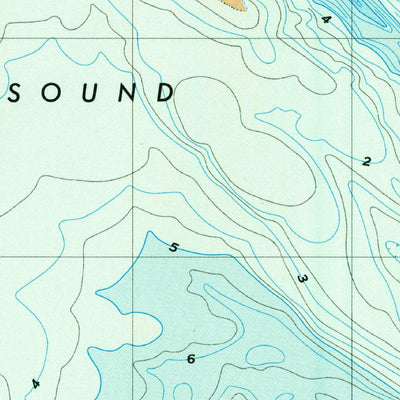 United States Geological Survey Wassaw Sound, GA (1978, 24000-Scale) digital map