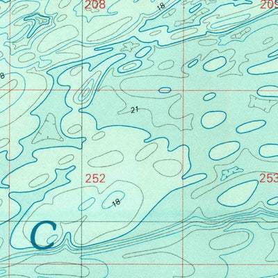 United States Geological Survey Wassaw Sound, GA (1980, 100000-Scale) digital map