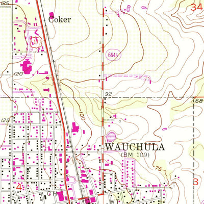 United States Geological Survey Wauchula, FL (1955, 24000-Scale) digital map