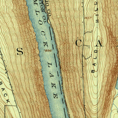 United States Geological Survey Wayland, NY (1904, 62500-Scale) digital map