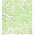 United States Geological Survey Waynesboro East, TN (1951, 24000-Scale) digital map