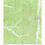 United States Geological Survey Waynesboro, TN (1951, 24000-Scale) digital map