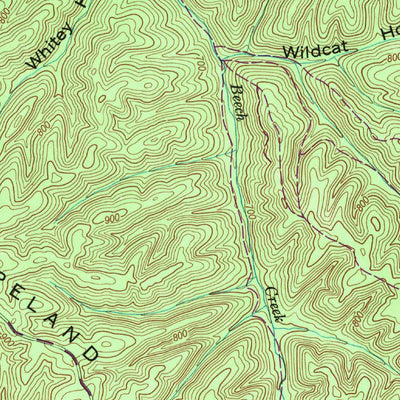 United States Geological Survey Waynesboro, TN (1951, 24000-Scale) digital map