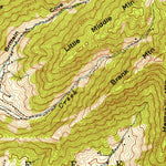United States Geological Survey Weaverville, NC (1942, 24000-Scale) digital map
