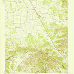 United States Geological Survey Webbs Jungle, TN (1951, 24000-Scale) digital map