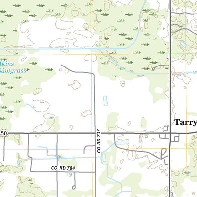 United States Geological Survey Webster, FL (2021, 24000-Scale) digital map