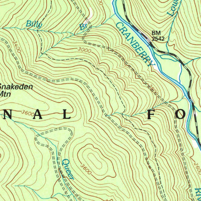United States Geological Survey Webster Springs SW, WV (1995, 24000-Scale) digital map