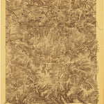 United States Geological Survey Webster Springs, WV (1915, 48000-Scale) digital map