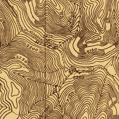 United States Geological Survey Webster Springs, WV (1915, 48000-Scale) digital map