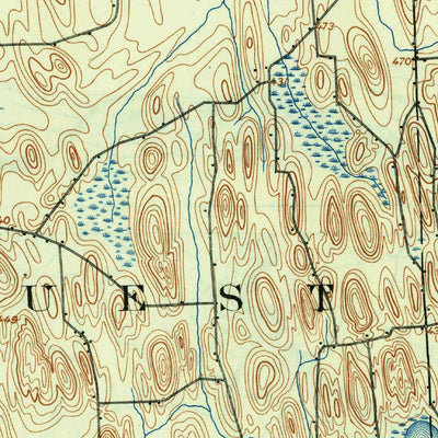 United States Geological Survey Weedsport, NY (1902, 62500-Scale) digital map